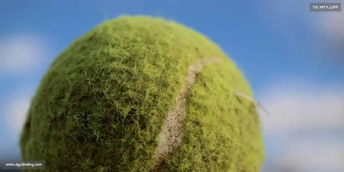 米兰官网🚣♀️同舟共济,破浪前行 —— 体育的精神,是团结与坚持的力量!